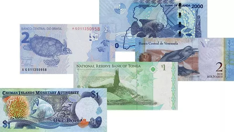 Ensemble de 5 billets de banque représentant des créatures marines