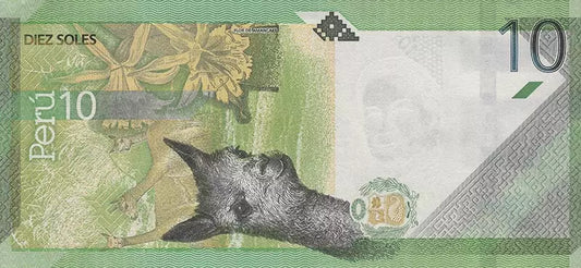 Billet de 10 Soles Pérou María Isabel Granda y Larco / Vicuna 2019