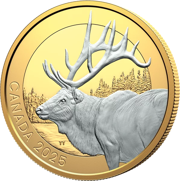 20 dollars canadiens pour un wapiti 2025