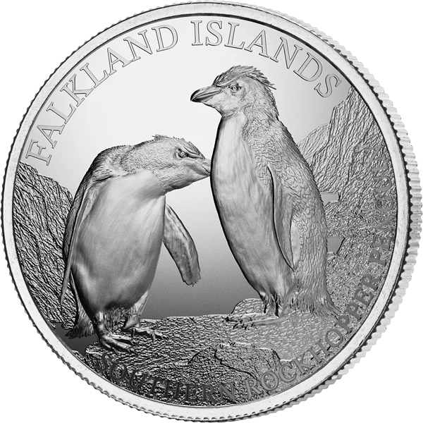 Manchot sauteur du Sud des îles Falkland (5 livres) 2026