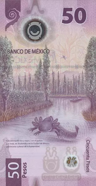 Billets de banque mexicains en polymère (paquet de 2) 2021