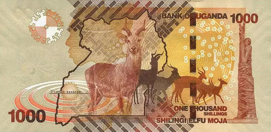 Billet de 1 000 shillings ougandais, Antilope herbeuse, 2021