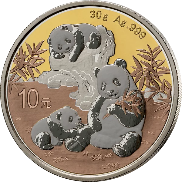 Pièce de 10 yuans de la sélection Panda Premium 2025 de Chine, plaquée or et finition effet porcelaine.