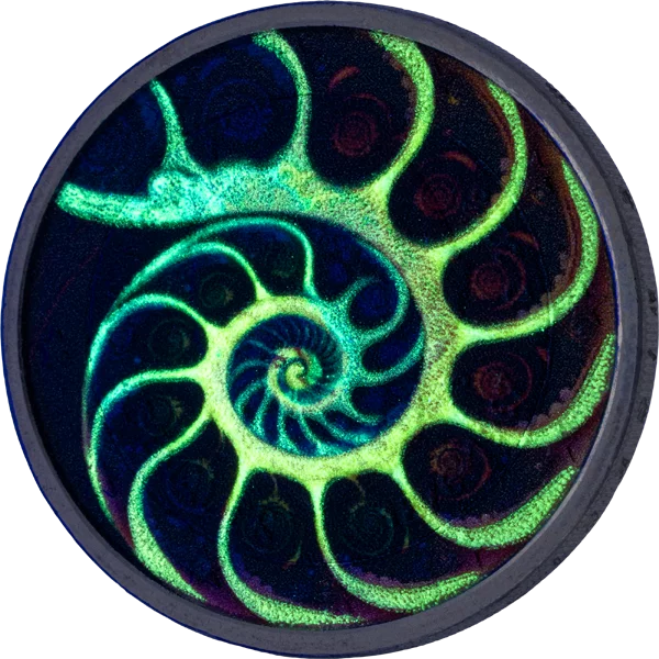 Édition Artiste Fibonacci 2 euros phosphorescente