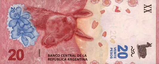 Billet de 20 Pesos Argentine Steppe de Patagonie et lama 2017